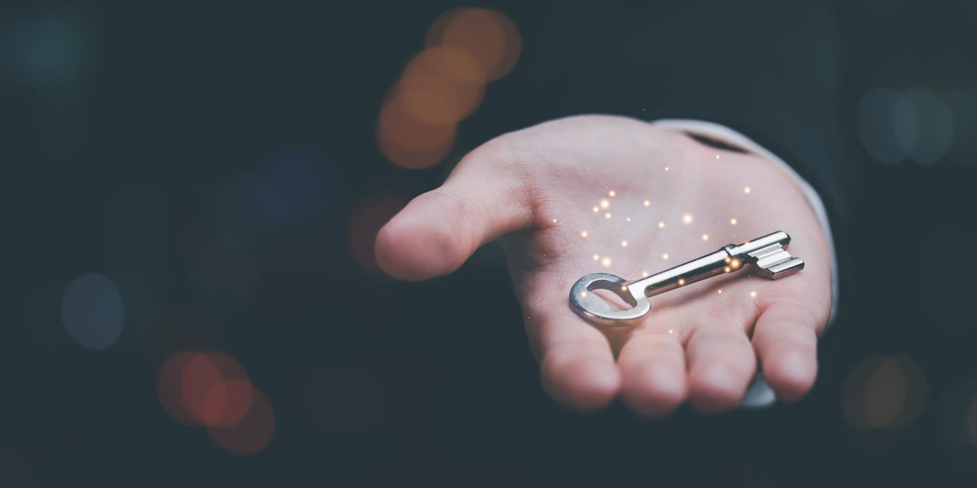 keys in businessman hands ,solution concept and leadership strategies, Key to success ,organization development and financial growth and investment, Tips from successful people ,Professional support