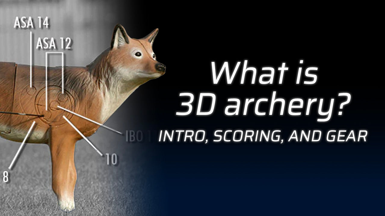 3D archery target with scoring zones and instructional text.