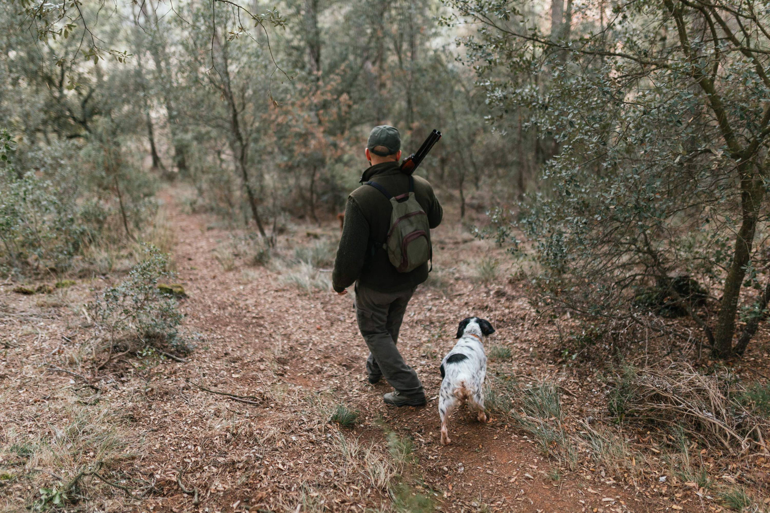 Man hunting with dog