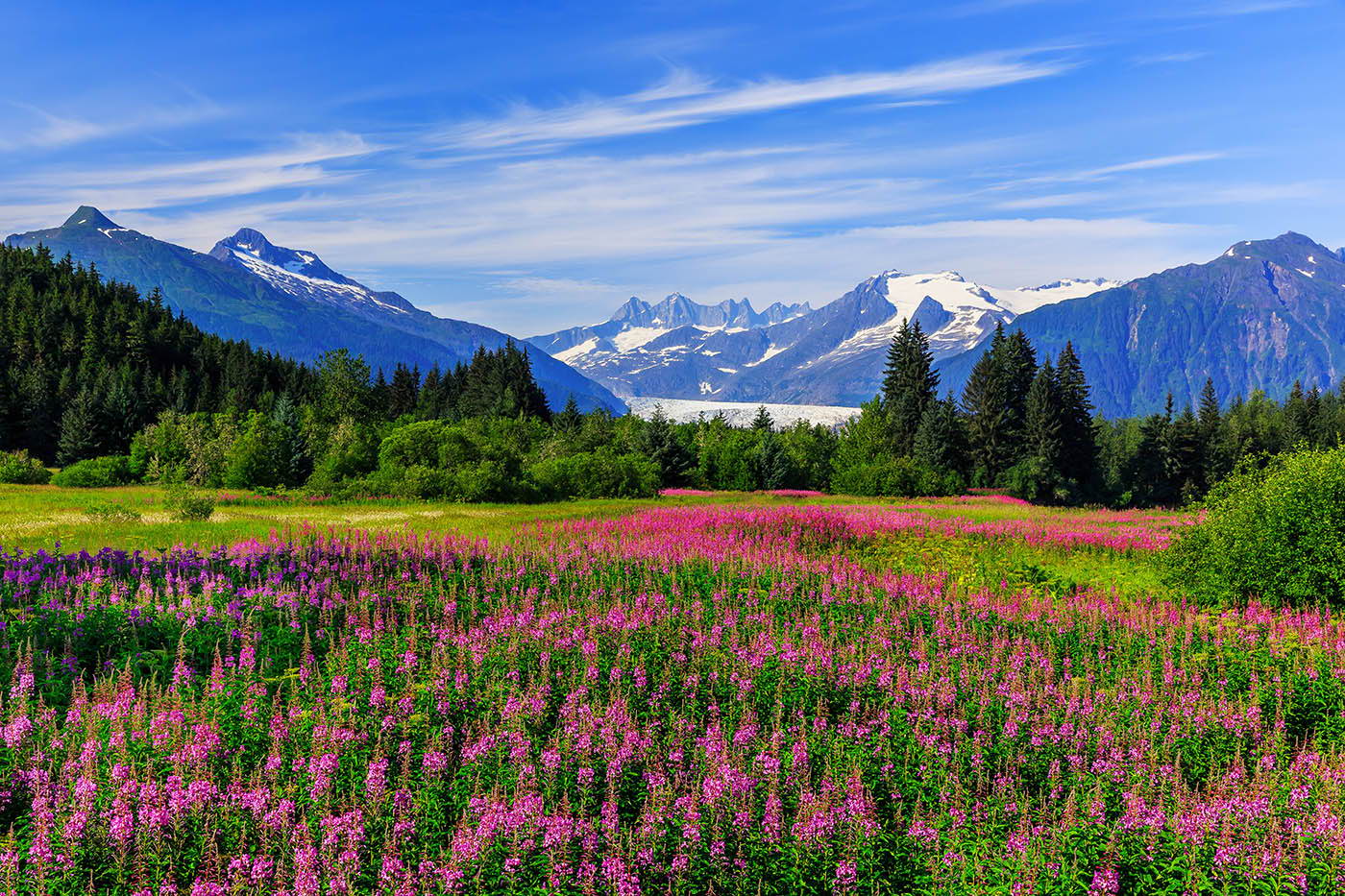 Alaska hunting