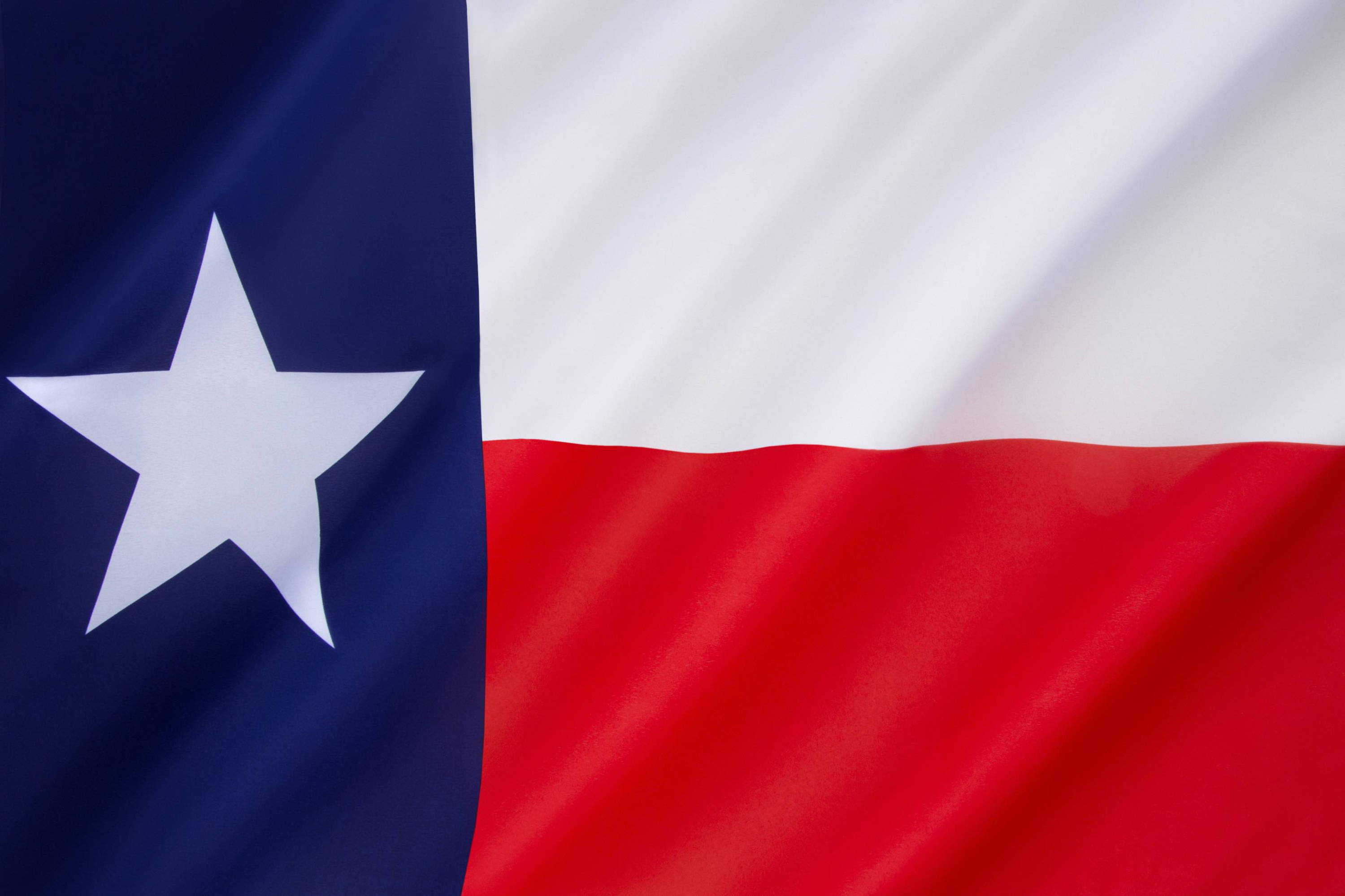 Texas flag