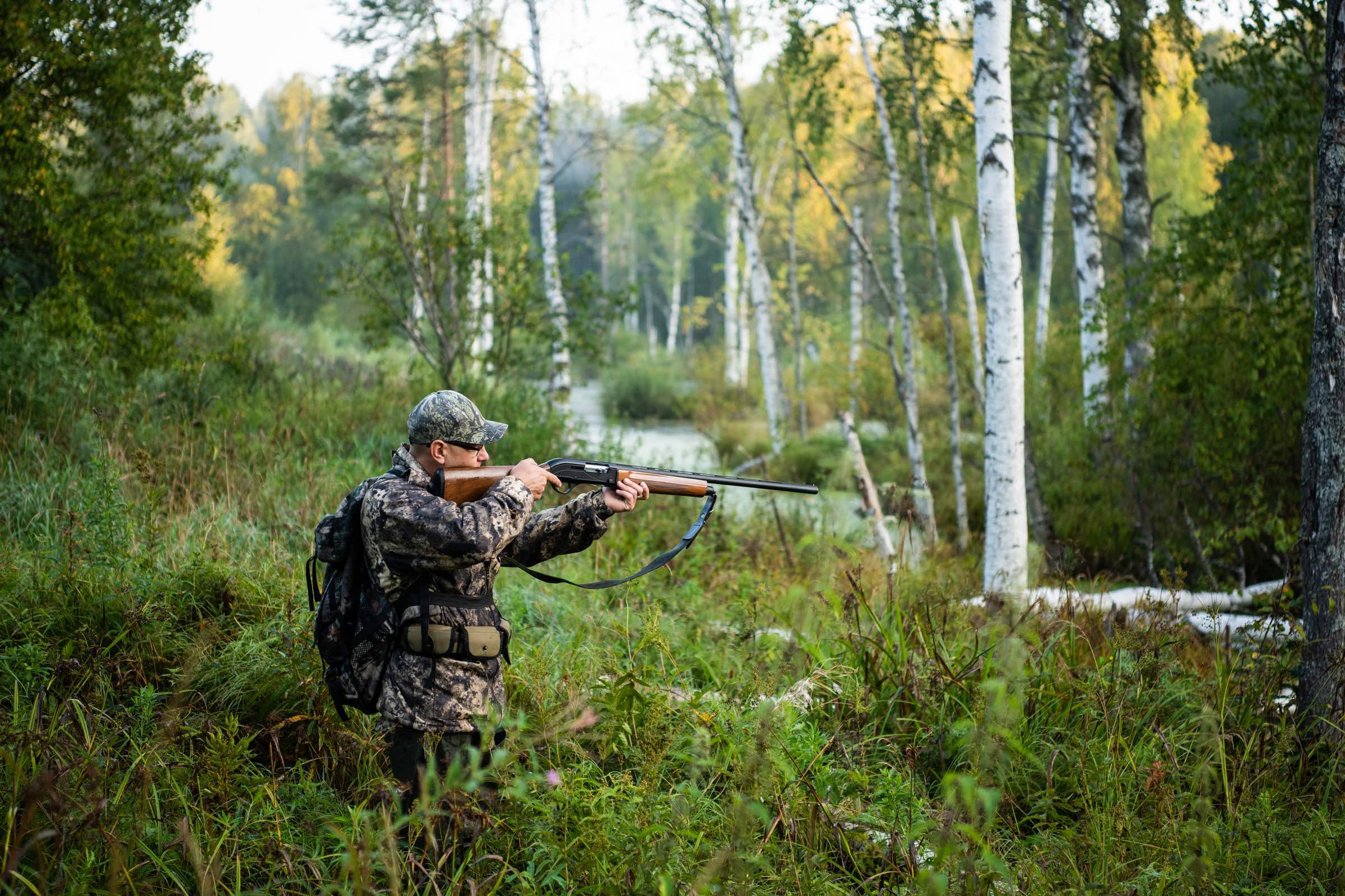 Hunter Aiming Rifle at Big Game