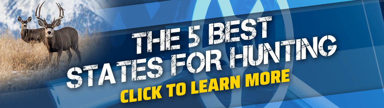 The 5 Best Hunting States