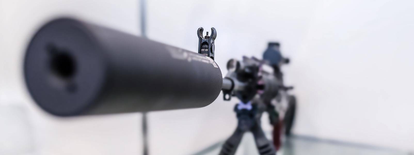 Suppressor on an AR-15