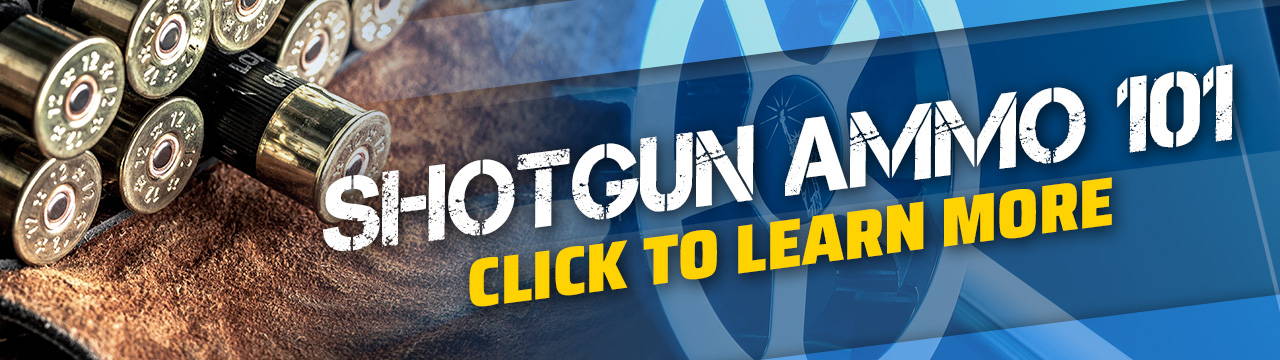 Shotgun Ammo 101