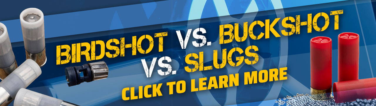 Birdshot vs. Buckshot vs. Slugs