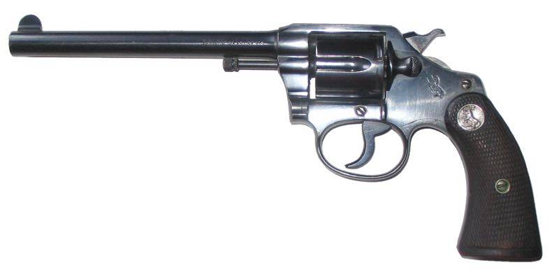 Colt Police Positive