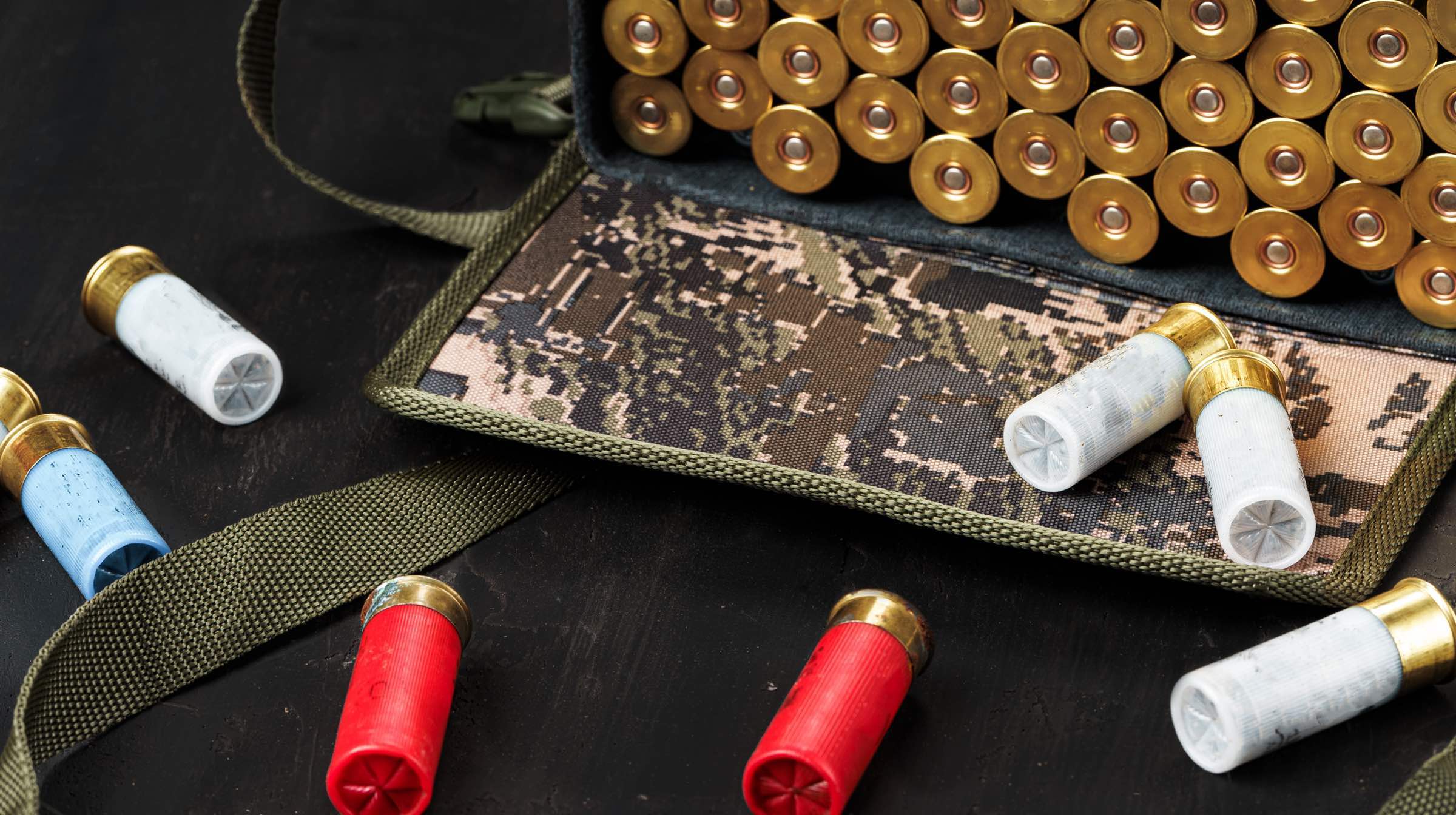 Shotgun shells
