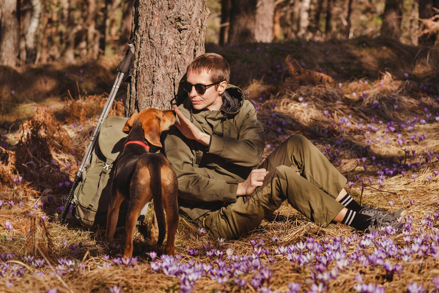 Man and Dog Hiking in Forest with Purple Flowers