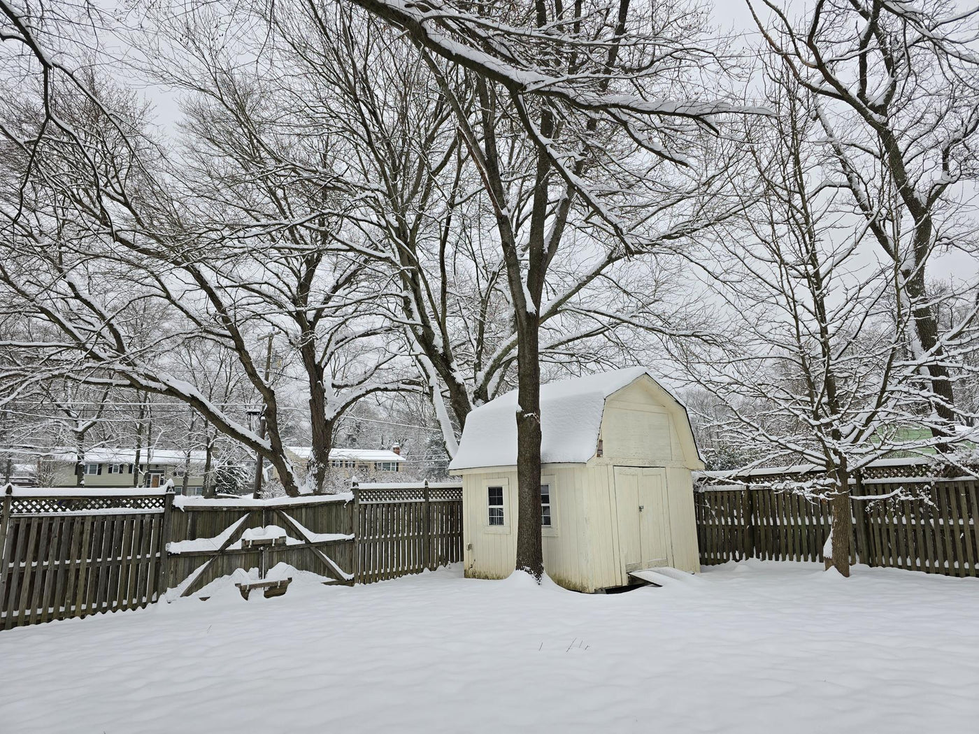 Snow-Covered Backyard with Shed and Leafless Trees