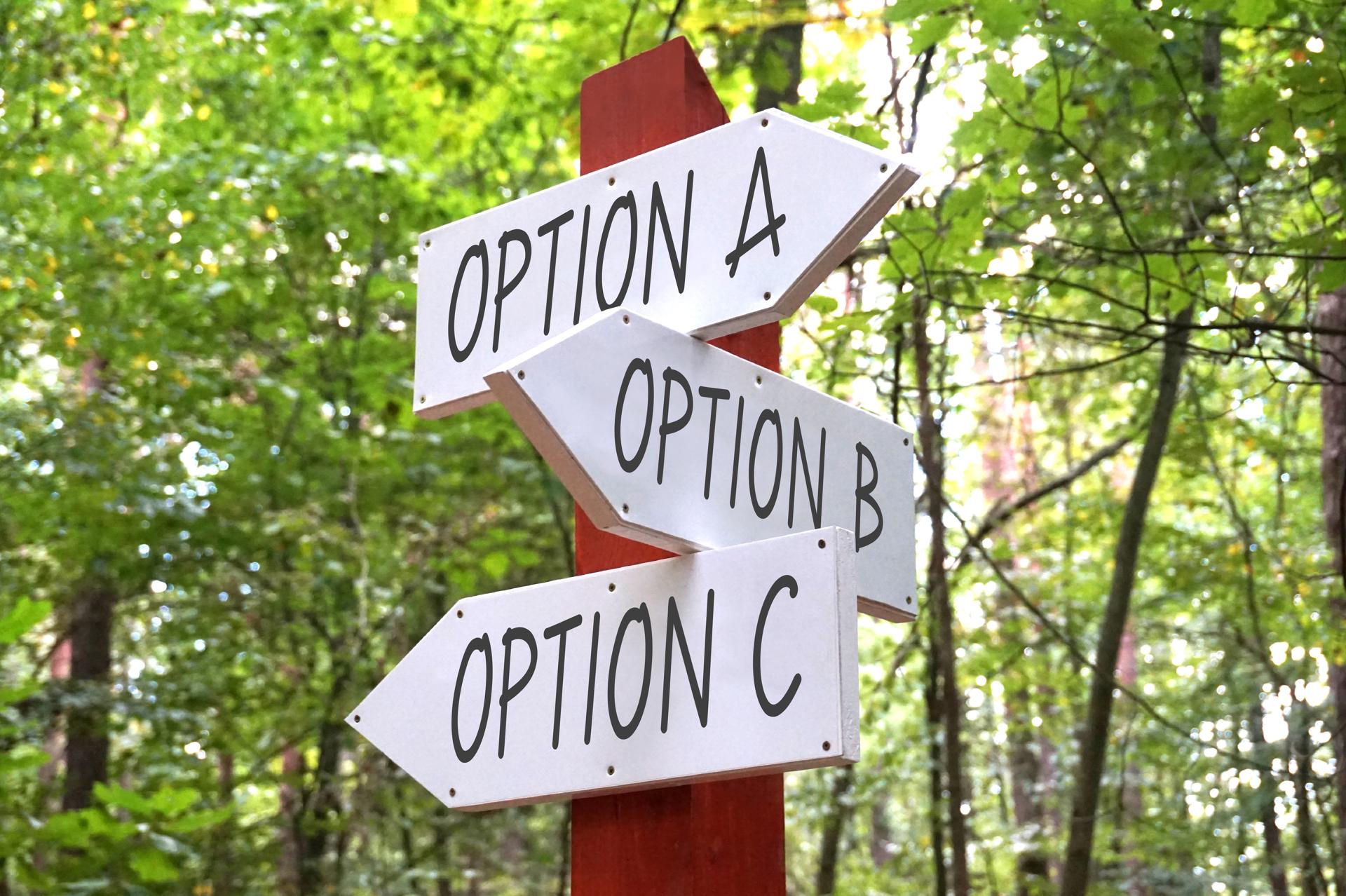 Option A, B, C - Wooden Signpost with Three Arrows, Forest in Background