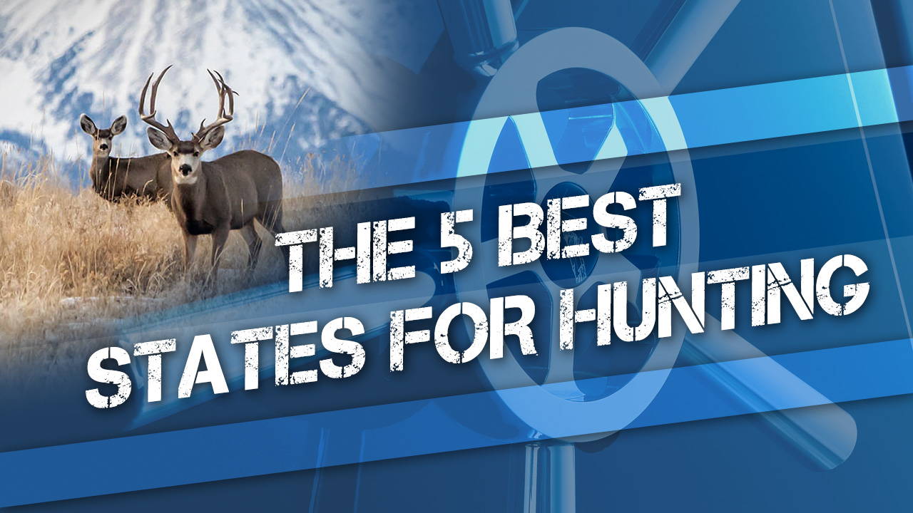 The 5 Best States For Hunting