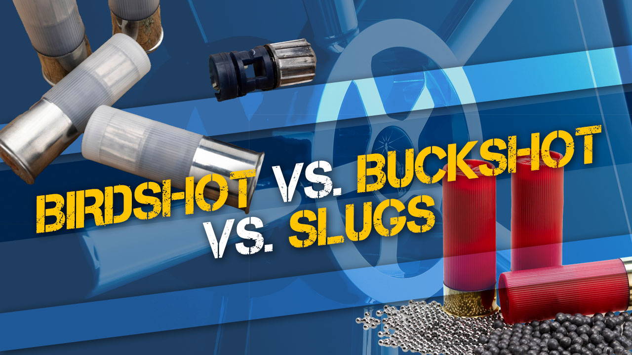Birdshot vs. Buckshot vs. Slugs