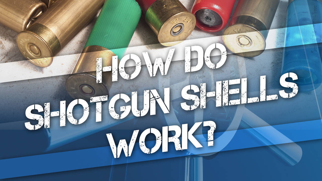 How do shotgun shells work?