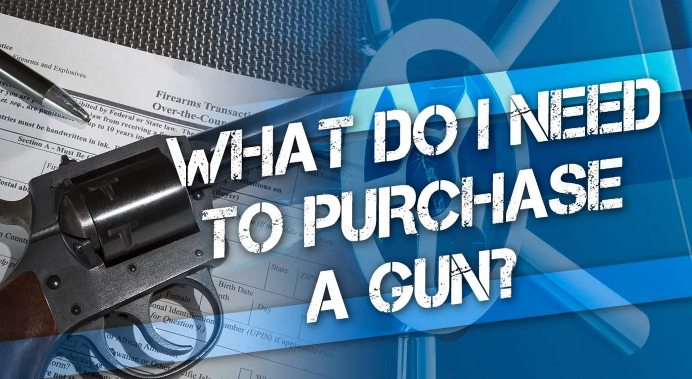 What Do I Need to Buy a Gun?