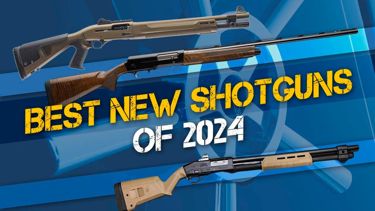 Best Shotguns of 2024