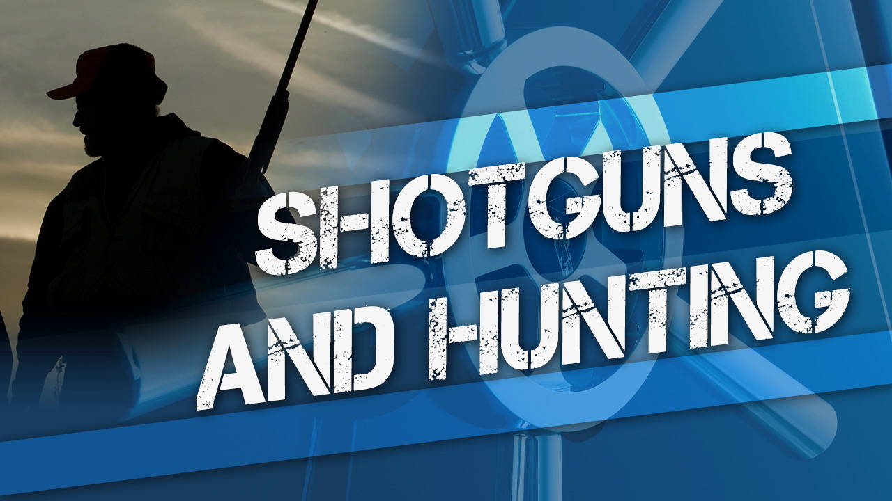 Shotguns and Hunting