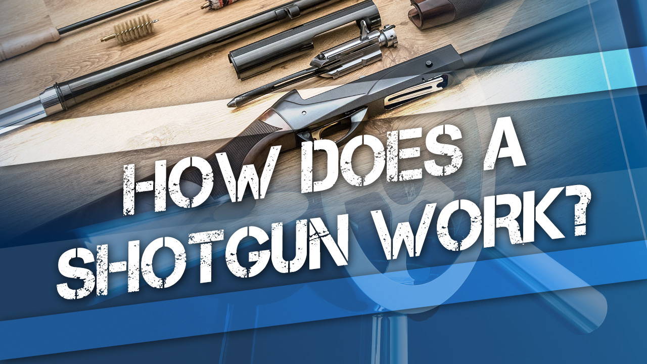 How does a shotgun work?