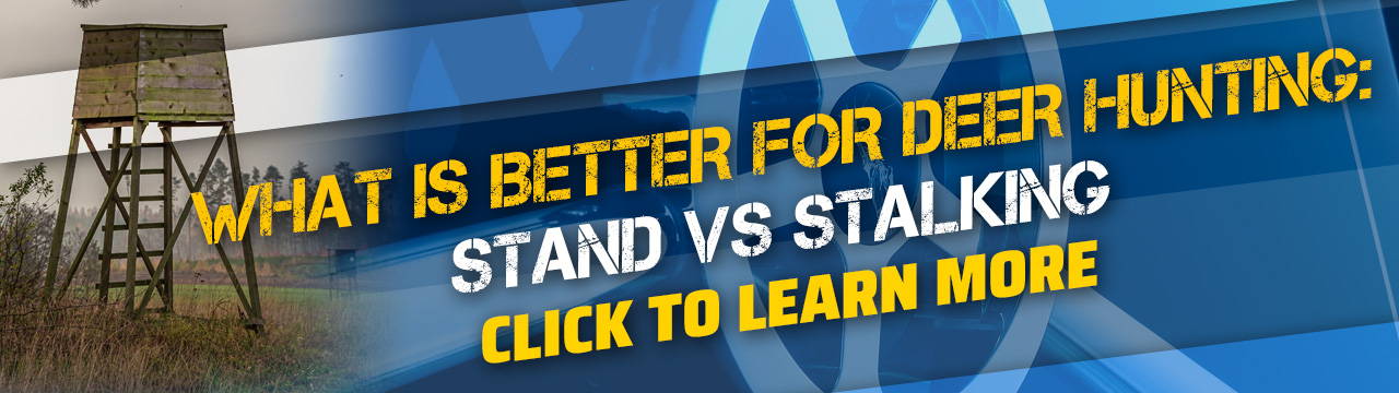 What is Better Hunting Deer: Stand vs Stalking