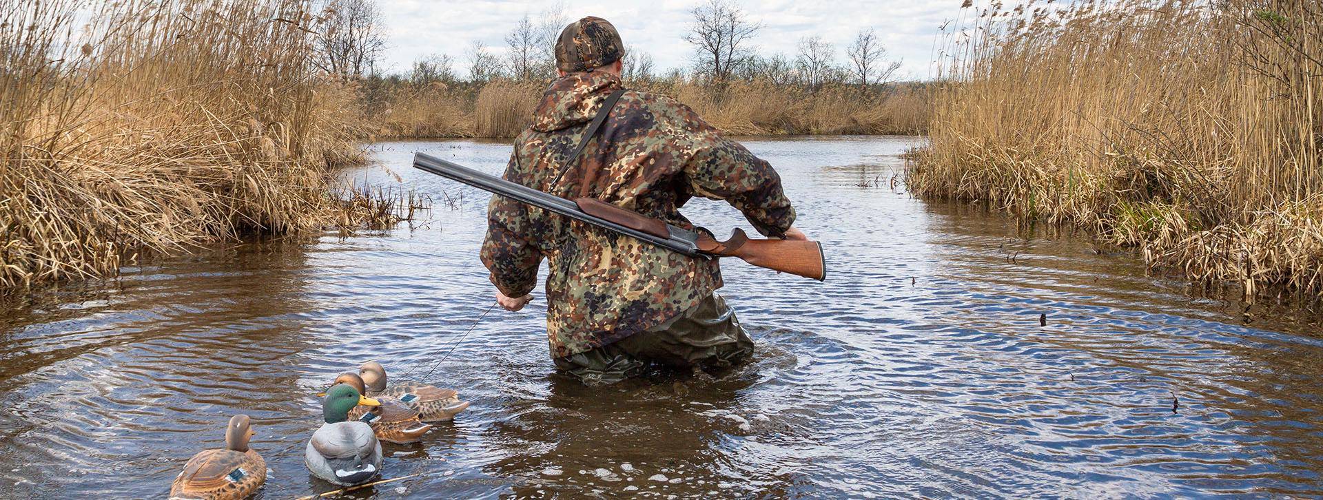 Man waterfowl hunting with decoys