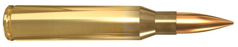 .338 Lapua