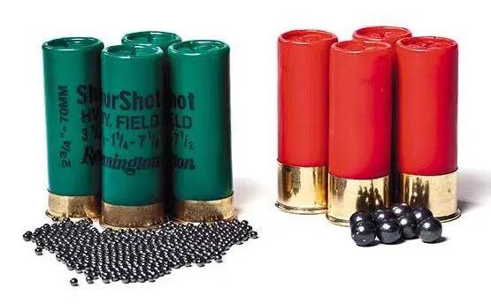 Shotgun shells
