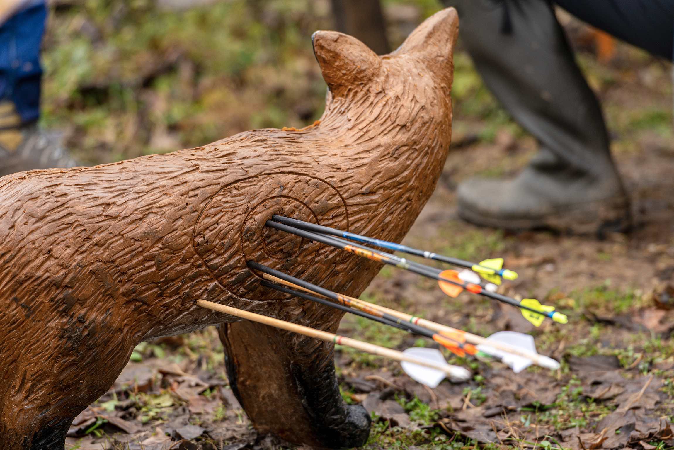 A target resembling a fox with arrows embedded in its body.